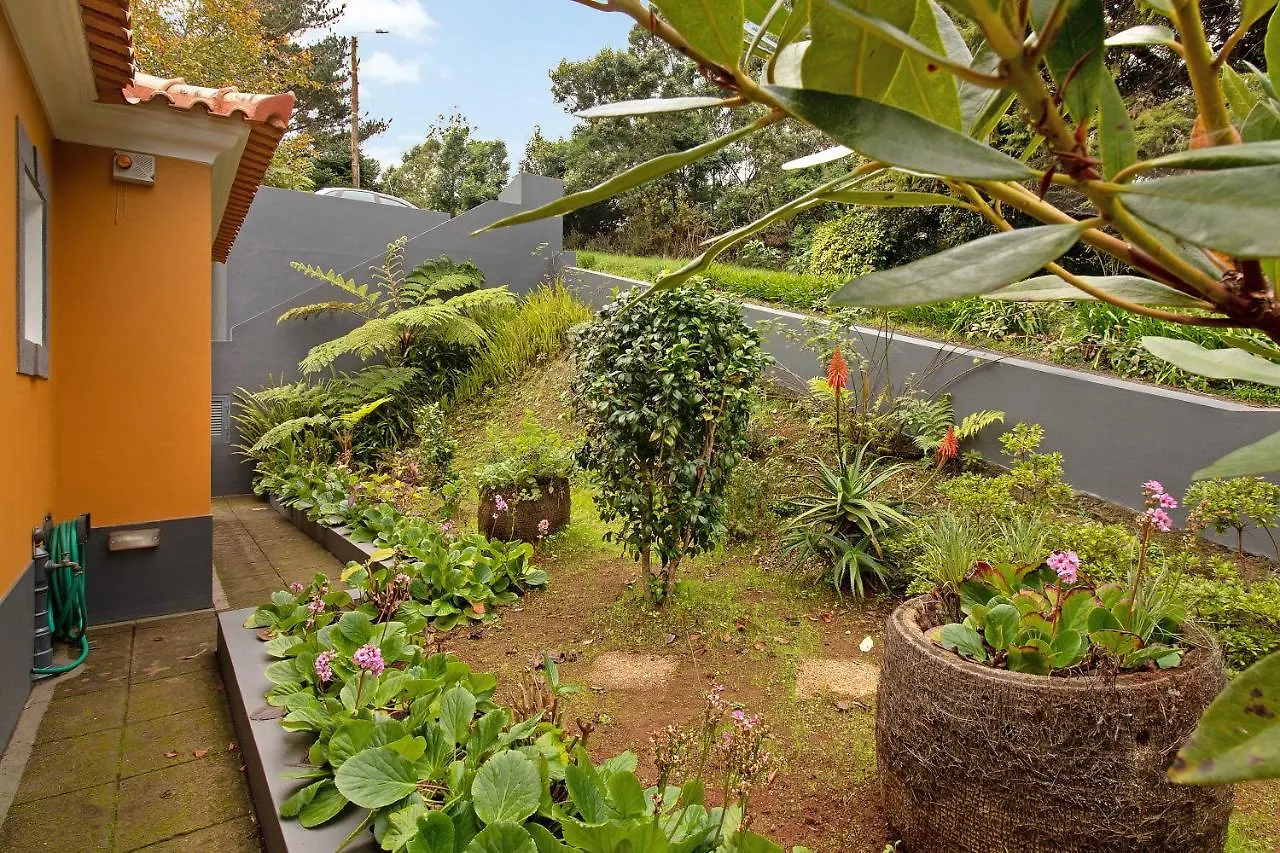Casa Catarina Villa Santo Antonio da Serra